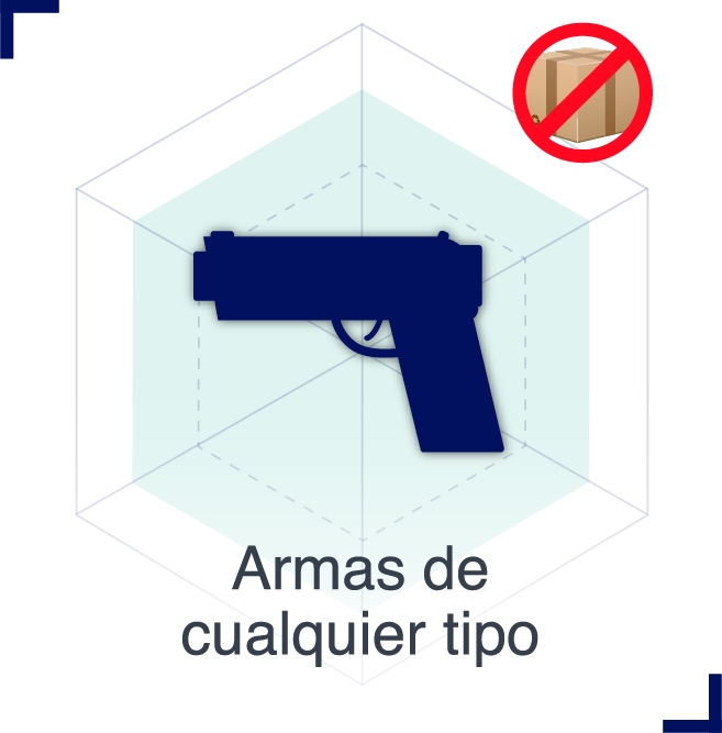 Artículos prohibidos | Armas